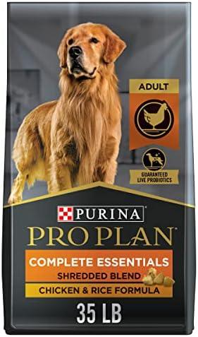 Top Summer Dog Food ⁤& treats for Happy Tails This Season