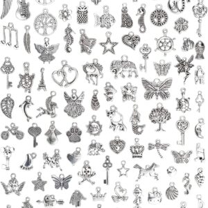 JIALEEY Wholesale Bulk Lots Jewelry Making Silver Charms Mixed Smooth Tibetan Silver Metal Charms Pendants DIY for Necklace Bracelet Jewelry Making and Crafting, 100 PCS